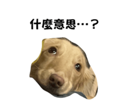 654976465