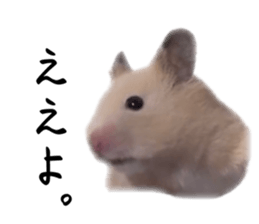 654986697