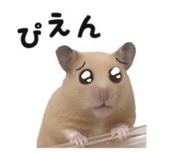654986701
