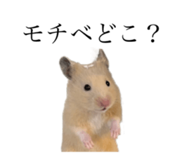 654986720