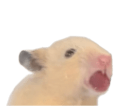 654986723