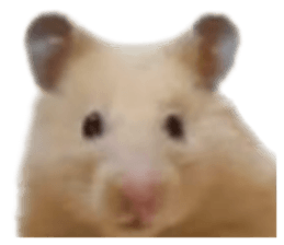 654986727