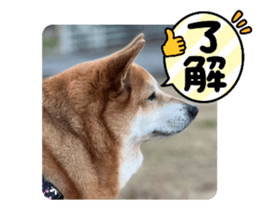 654989498