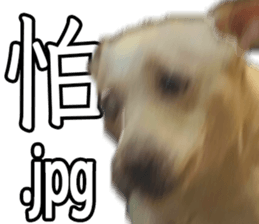 655008783