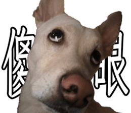 655008786