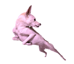 655008797