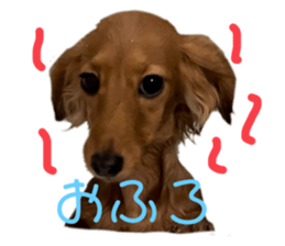 655009963