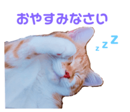655012543