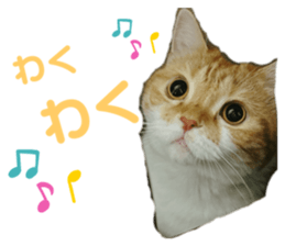 655012556