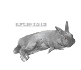 655016702
