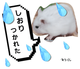 655040343
