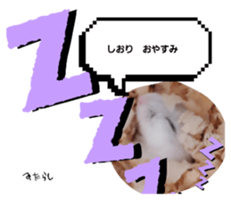 655040344