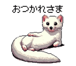 655055433