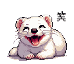 655055437