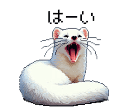 655055438