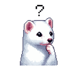 655055447