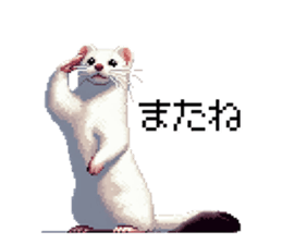 655055450
