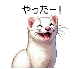 655055455