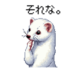 655055456