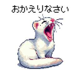 655055458