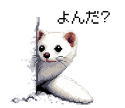655055466
