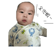 655055951
