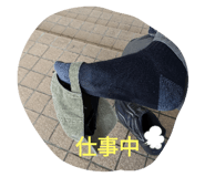 655066365