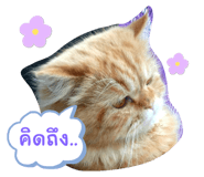 655067593