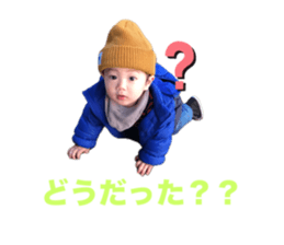 655081380