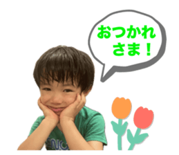 655081384