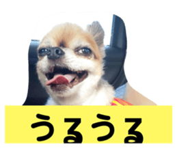 655097006