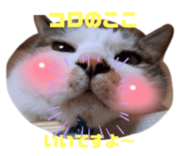 655105872