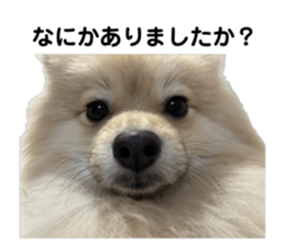 655107044