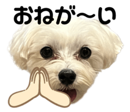 655147355