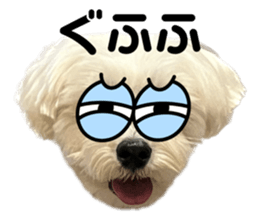 655147372