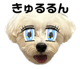 655147378