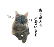 655159667