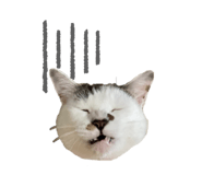 655159669