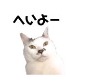 655159672