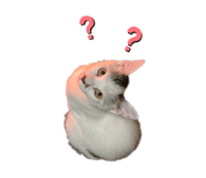 655159673