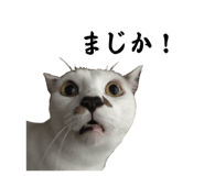 655159681