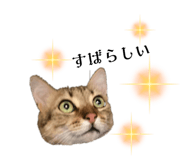 655159682