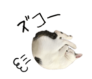 655159684