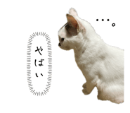 655159686