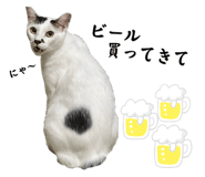 655159689