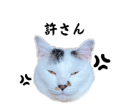 655159692