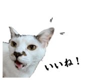 655159696
