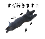 655159698