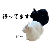 655159699