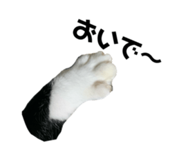 655165073